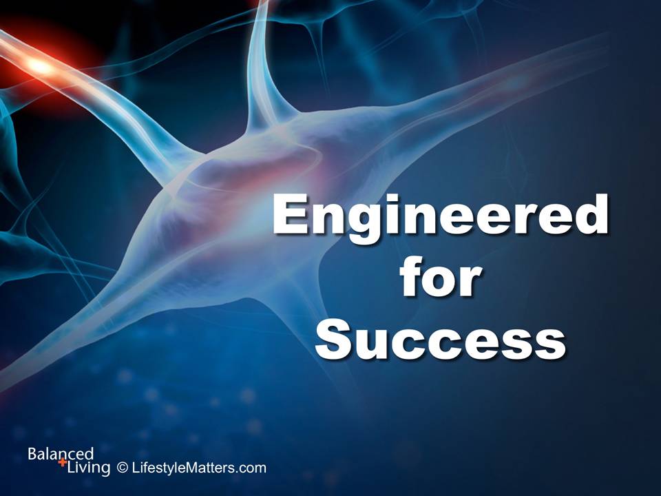 Engineered for Success - Balanced Living - PowerPoint Download
