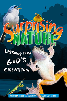 Surprising Nature: Lessons From Gods
