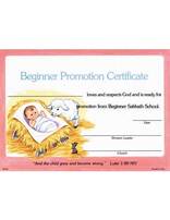 Beginner Promotion Certificate (10)