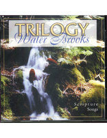 Water Brooks--audio CD