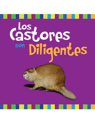 Beavers Are Busy - Spanish