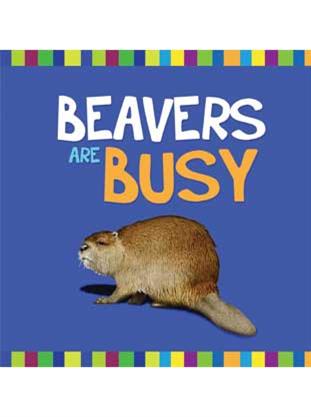 Beavers are Busy