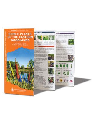 Pocket Guide - Edible Plants of the Eastern Woodlands