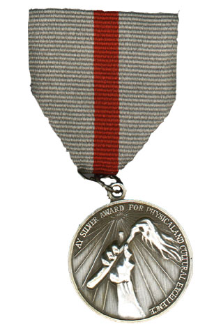 Medallón Plateado de Excelencia